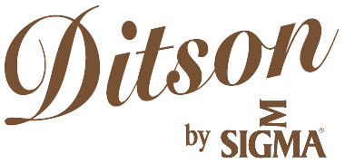 Гитары Ditson