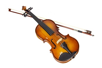 Скрипка Livingstone L-V100 4/4