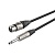 Шнур Roxton DMXJ210-5