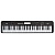 Синтезатор EMILY PIANO EK-7 BK