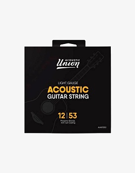 Струны Acoustic Union AUAS1253