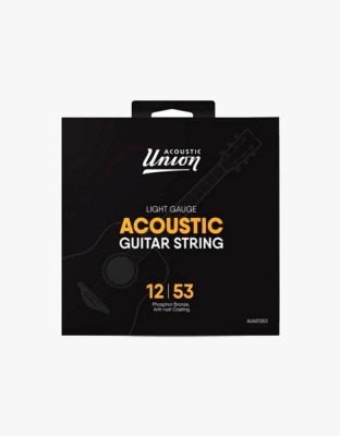 Струны Acoustic Union AUAS1253