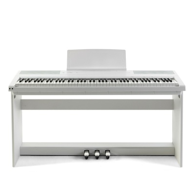 Цифровое фортепиано Emotive Hammerpiano 1 sW