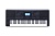 Синтезатор Medeli AK603