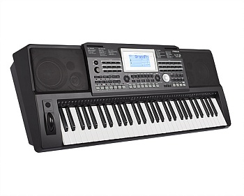 Синтезатор Medeli A810