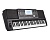 Синтезатор Medeli A810