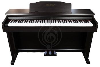 Цифровое пианино Solista DP200R