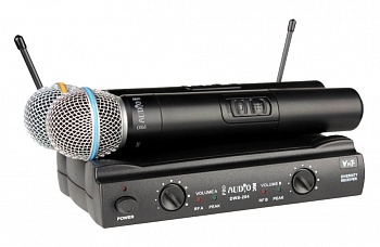 Радиосистема Proaudio DWS-204 HT