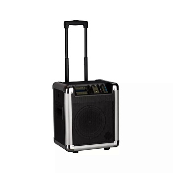 Колонка Soundking PA8M